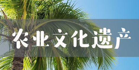 申论热点